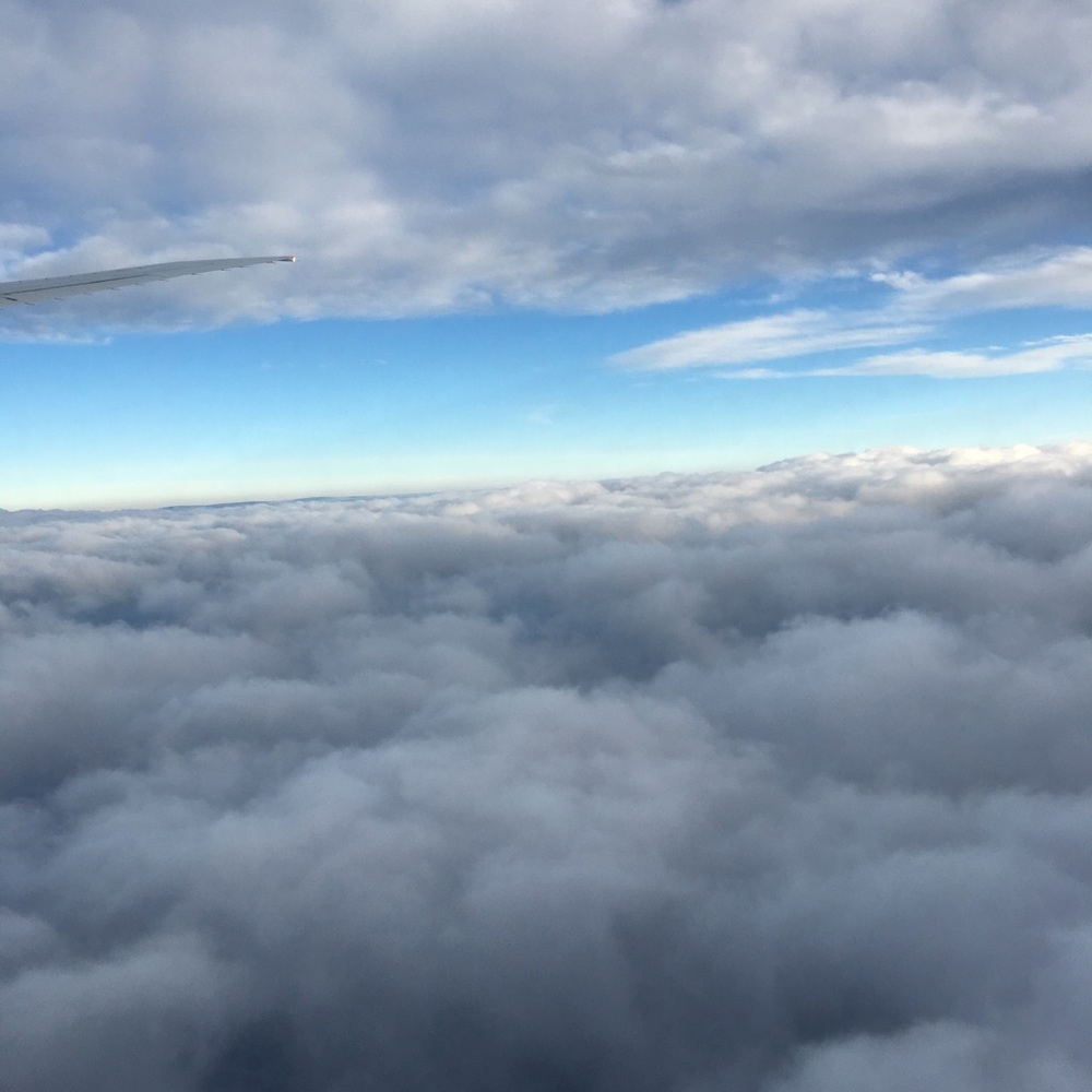 Meet your Posher, Lindsay